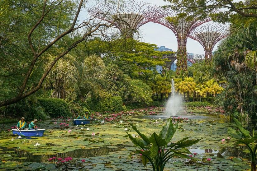 Gardens by the Bay
